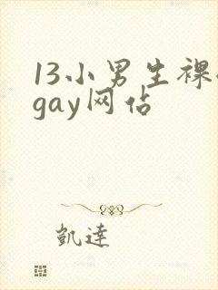 13小男生裸体gay网站