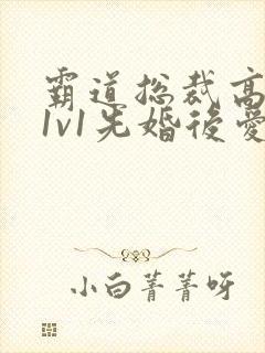 霸道总裁高干文1v1先婚后爱小娇妻