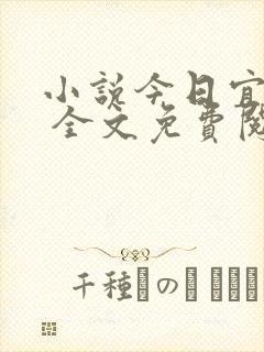 小说今日宜偏爱 全文免费阅读