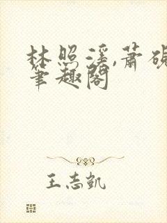 林照溪,萧砚川笔趣阁