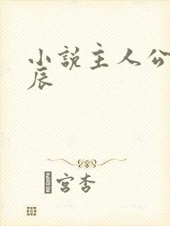 小说主人公叫林辰