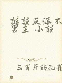谁说反派不能当男主 小说