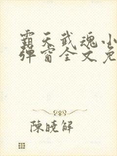 霸天武魂小说无弹窗全文免费阅读