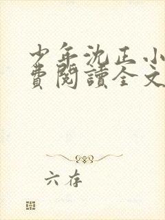 少年沈正小说免费阅读全文封面