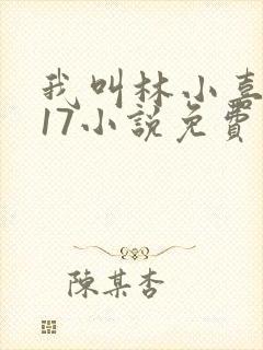 我叫林小喜今年17小说免费看