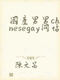 国产男男chinesegay网站