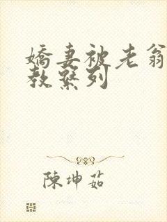 娇妻被老翁性调教系列