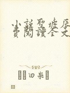 小说圣墟辰东免费阅读全文无窗口