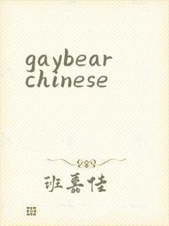 gaybearchinese封面
