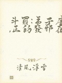 斗罗:弟子唐三,正的发邪在线阅读封面