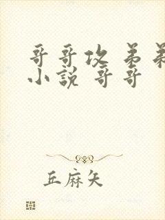 哥哥攻 弟弟受小说 哥哥