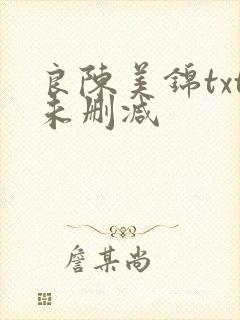 良陈美锦txt未删减