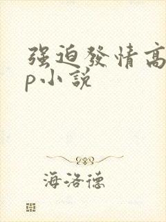 强迫发情高hnp小说