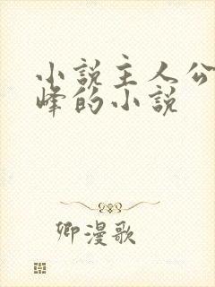小说主人公叫林峰的小说封面