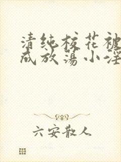 清纯校花被调教成放荡小淫妇最新章