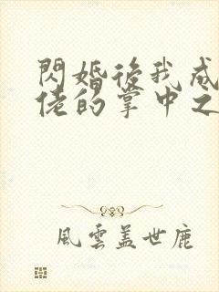 闪婚后我成了大佬的掌中之物在哪个平台封面