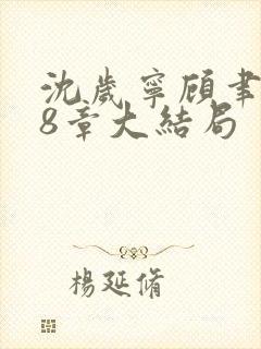 沈岁宁顾聿礼28章大结局封面