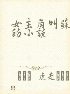 女主角叫苏清欢的小说