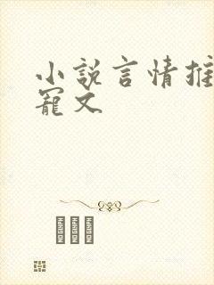 小说言情推荐甜宠文封面