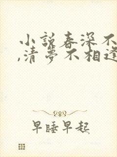 小说春深不归客,清梦不相逢封面