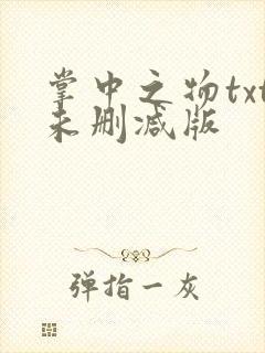 掌中之物txt未删减版