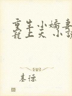 重生小娇妻大佬宠上天 小说