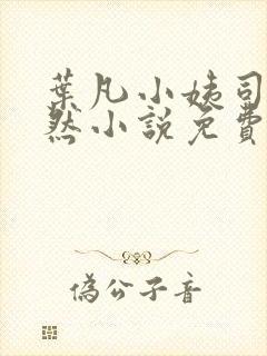 叶凡小姨司马嫣然小说免费阅读封面