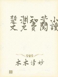 楚渊知莹小说全文免费阅读封面