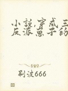 小说,穿成三个反派崽子的后娘怎么办封面