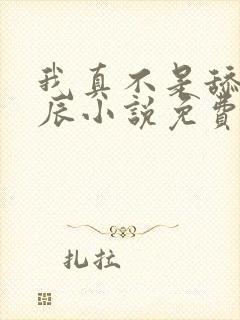 我真不是舔狗叶辰小说免费阅读
