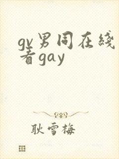 gv男同在线观看gay封面