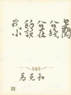 我的公公是医生小说在线阅读