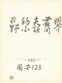 我的夫君权倾朝野小说简介