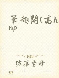 笔趣阁(高h)np