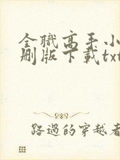 全职高手小说未删版下载txt