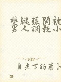 双腿张开被9个男人调教小说封面
