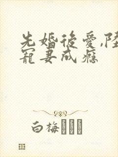 先婚后爱,陆队宠妻成瘾