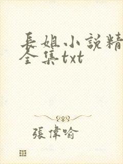 长姐小说精校版全集txt