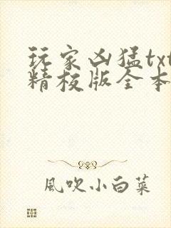 玩家凶猛txt精校版全本下载
