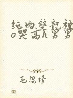 纯肉双龙被cao哭高h男男