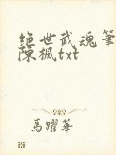 绝世武魂笔趣阁陈枫txt封面