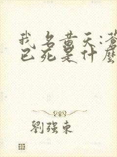 我名黄天:苍天已死是什么鬼