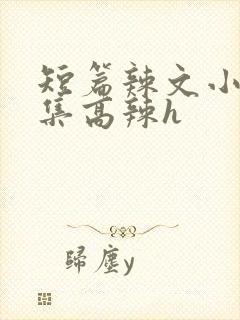 短篇辣文小说合集高辣h