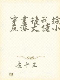 穿书后我捡到了反派大佬小说