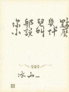 你那儿几点原著小说叫什么