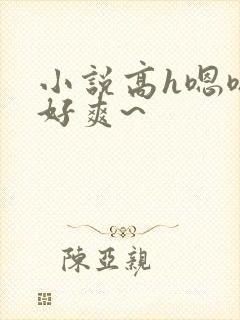 小说高h嗯嗯~好爽~