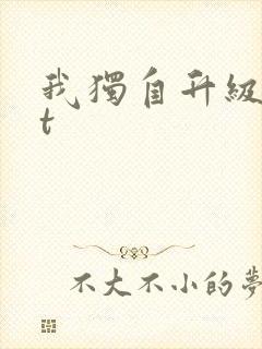 我独自升级txt