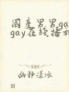 国产男男gaygay在线播放搜索