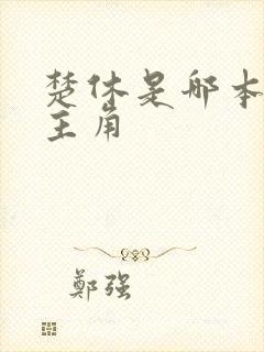 楚休是哪本小说主角