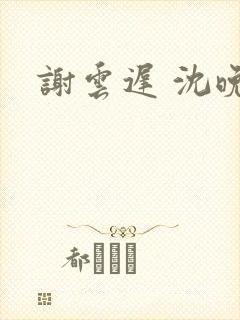 谢云迟 沈晚梨